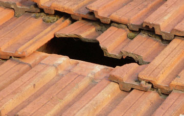 roof repair Sheldwich Lees, Kent